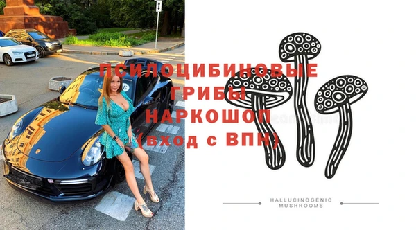 твердый Бронницы
